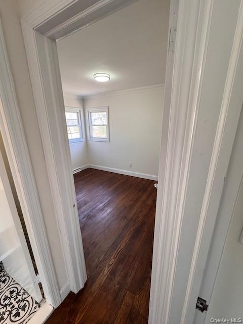 Single Family Elder  Suffolk County, NY 11779, MLS-988839-23