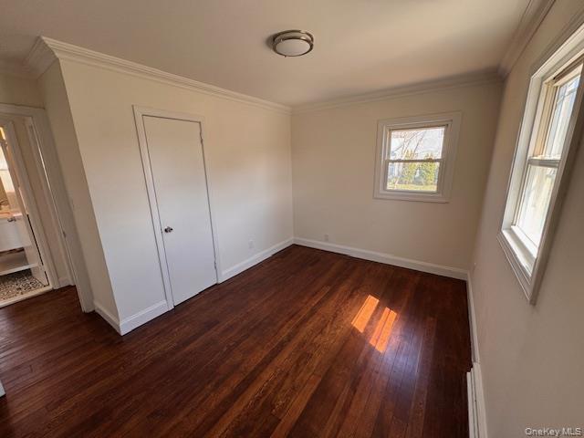 Single Family Elder  Suffolk County, NY 11779, MLS-988839-27