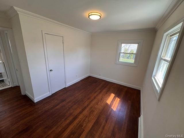 Single Family Elder  Suffolk County, NY 11779, MLS-988839-28