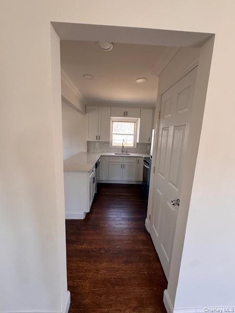 Single Family Elder  Suffolk County, NY 11779, MLS-988839-9