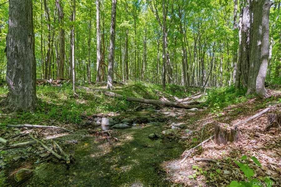 Single Family Beekman Road  Dutchess County, NY 12533, MLS-988846-35