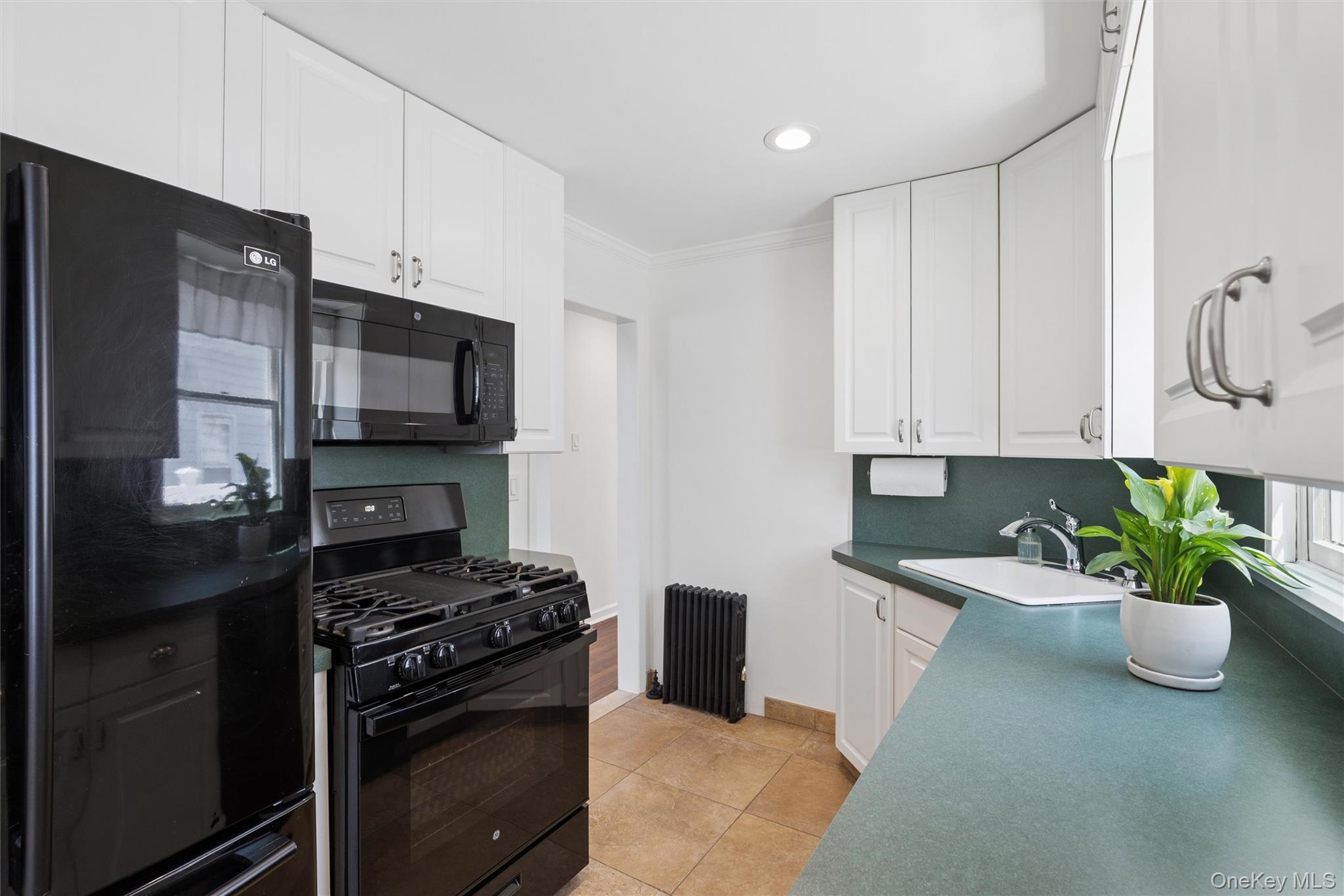 Single Family Maurice  Nassau County, NY 11554, MLS-989059-11