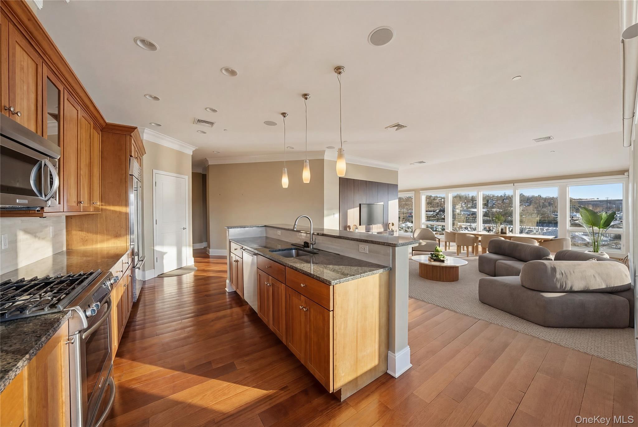 Condo Main  Westchester County, NY 10591, MLS-989078-7