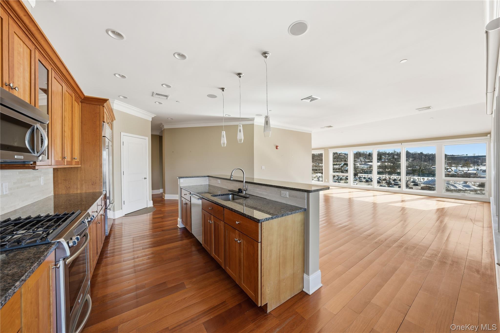 Condo Main  Westchester County, NY 10591, MLS-989078-8