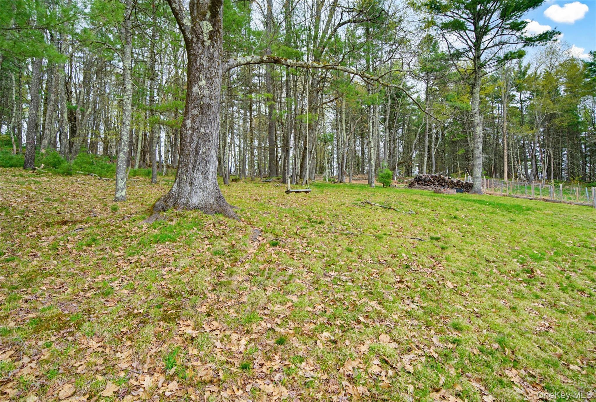 Single Family Marjorie  Sullivan County, NY 12701, MLS-989167-32