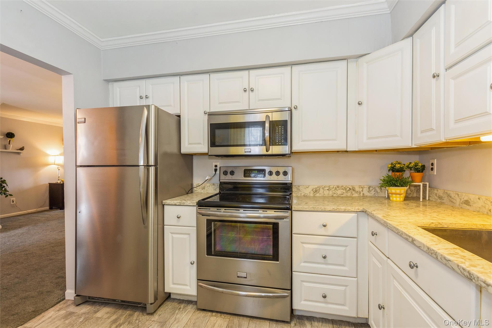 Coop Middle Country  Suffolk County, NY 11727, MLS-989261-8