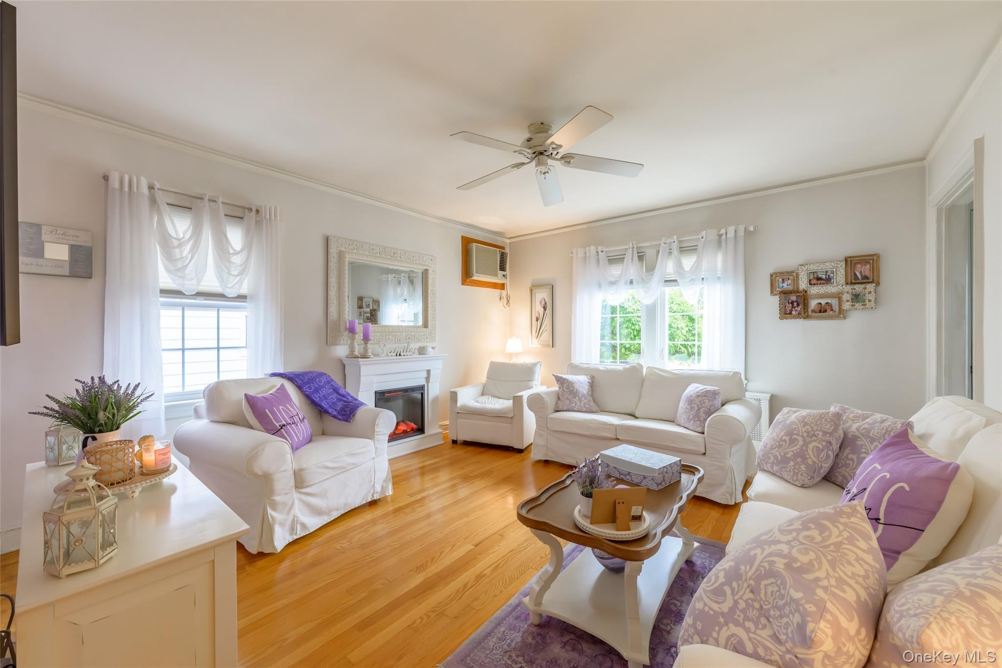 Single Family James  Nassau County, NY 11010, MLS-989289-10