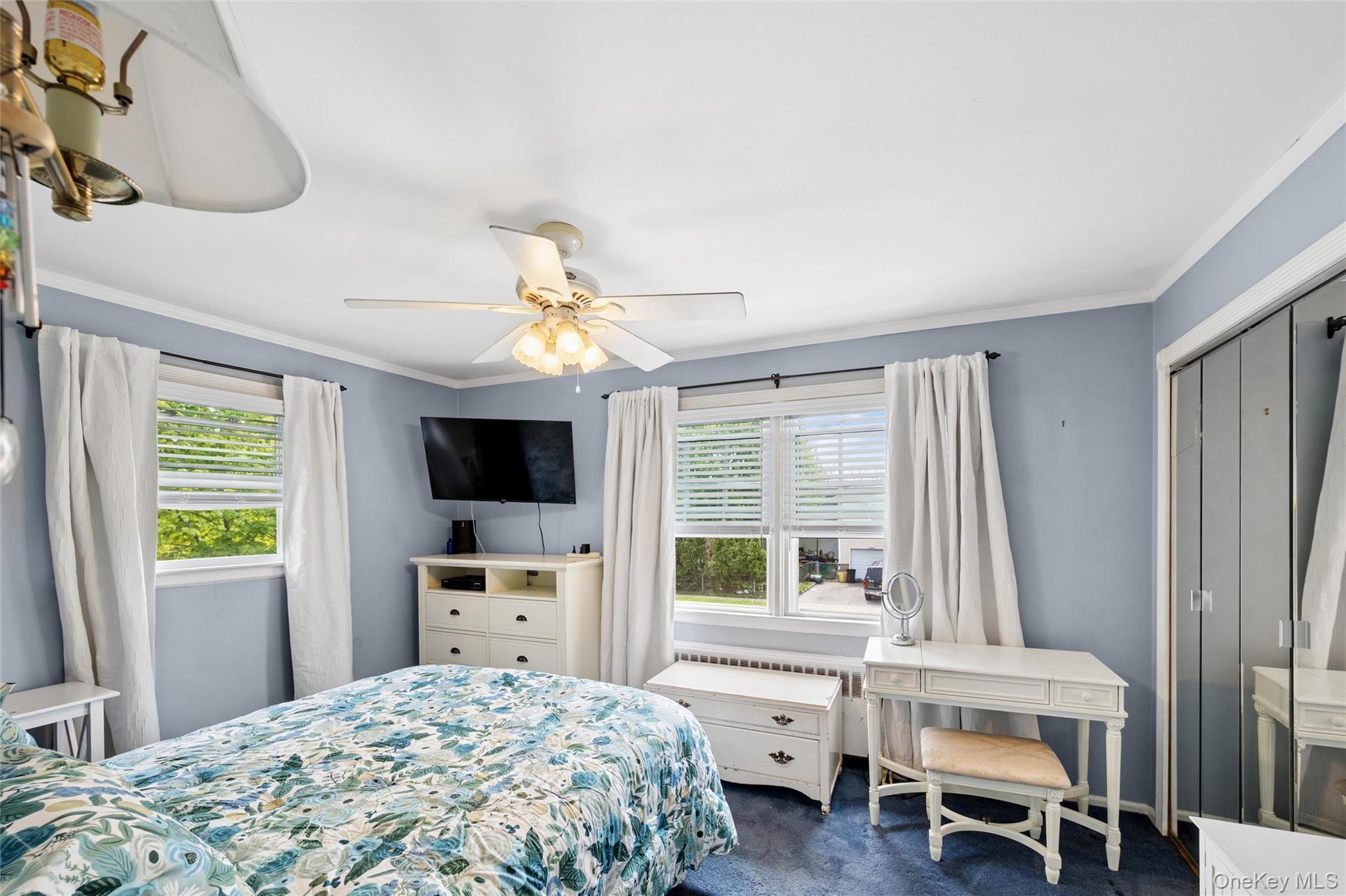 Single Family Violet  Nassau County, NY 11762, MLS-989351-13