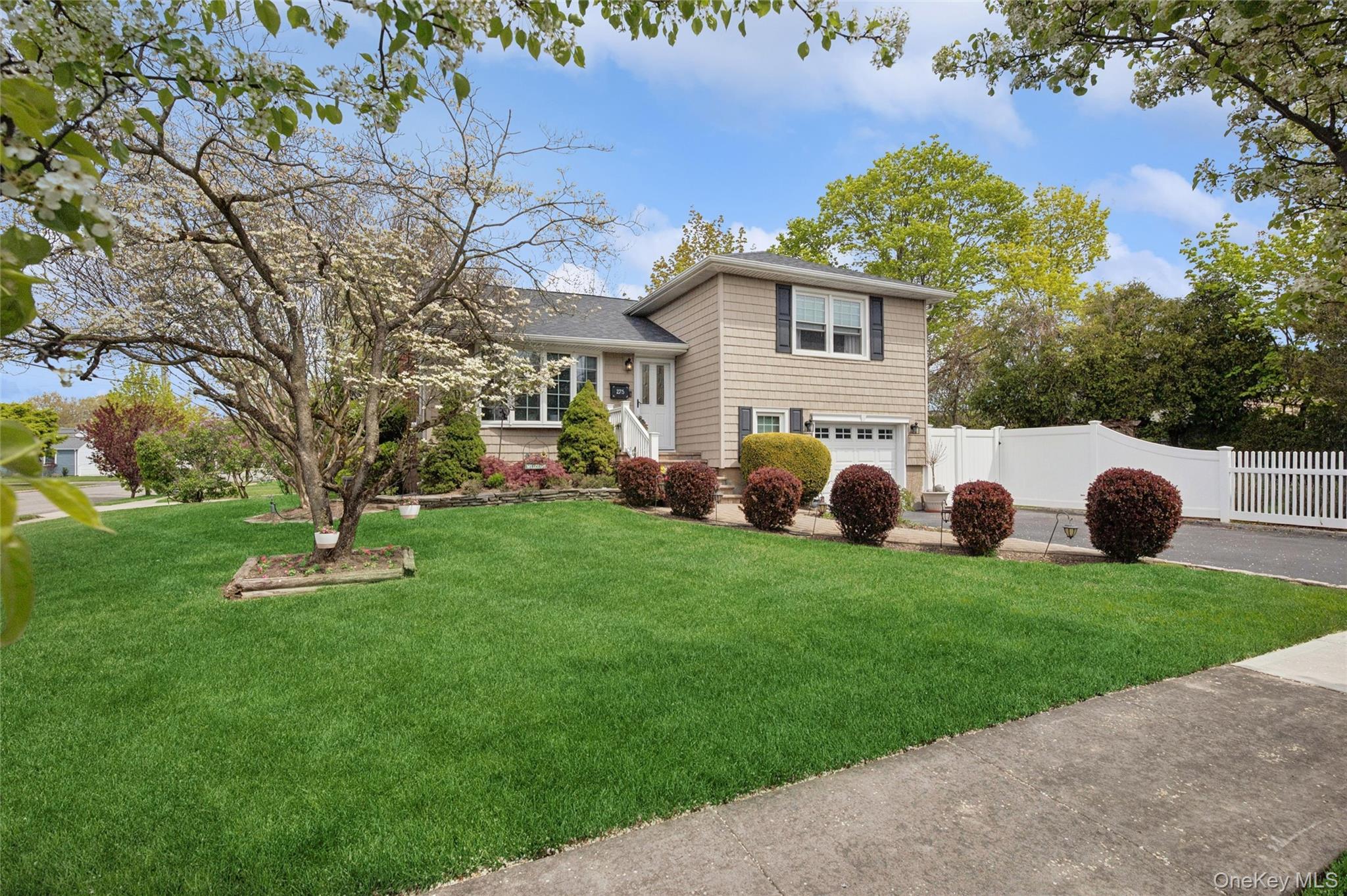 Single Family Violet  Nassau County, NY 11762, MLS-989351-3