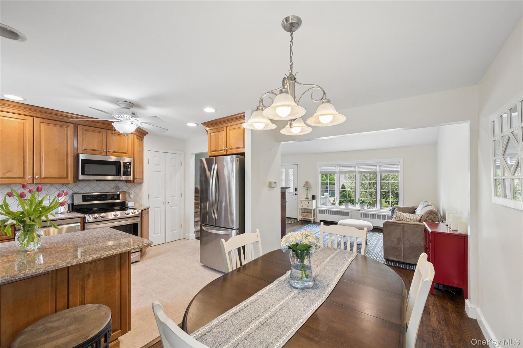 Single Family Violet  Nassau County, NY 11762, MLS-989351-8