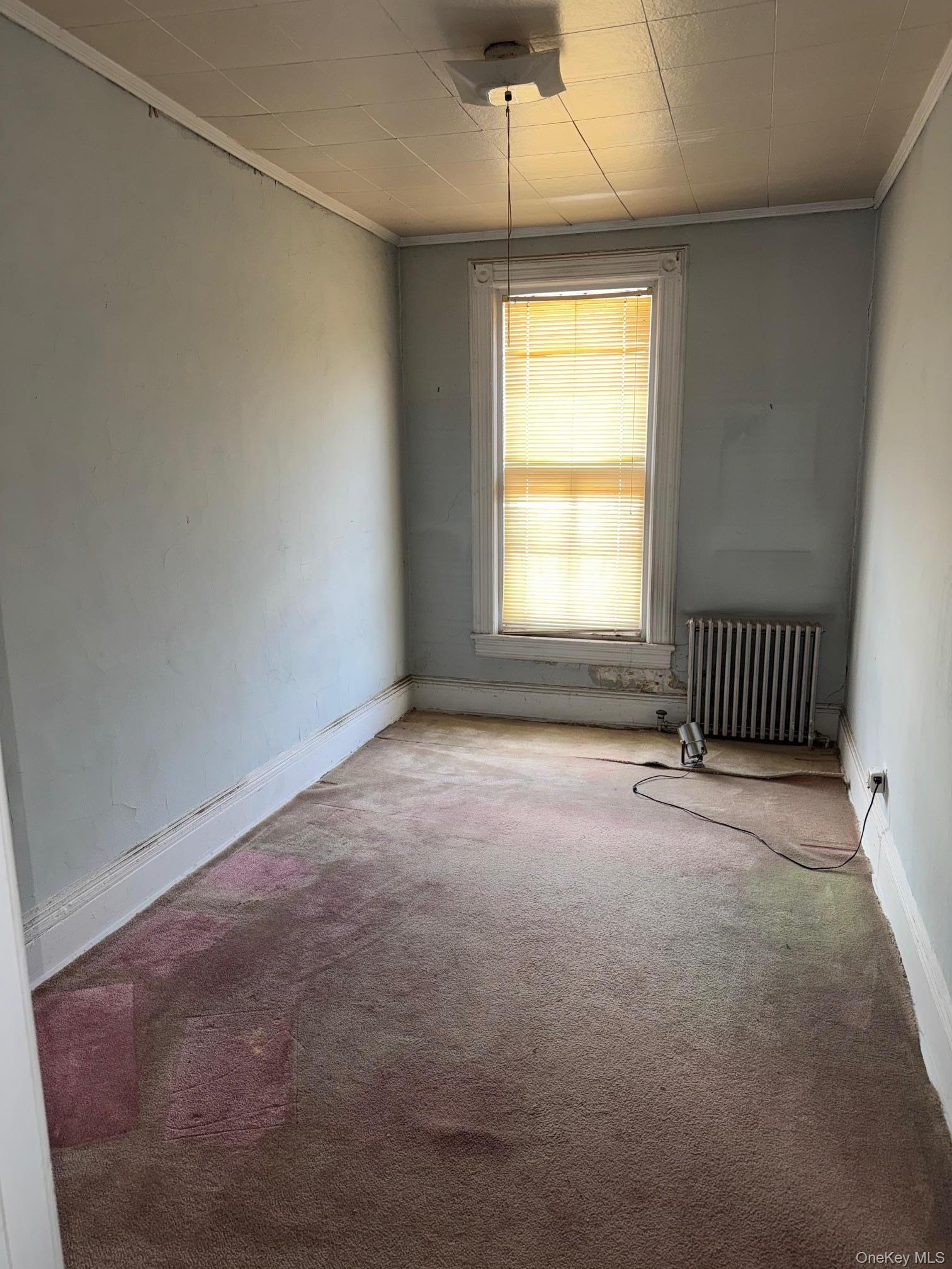 Single Family Saratoga  Westchester County, NY 10705, MLS-989482-8