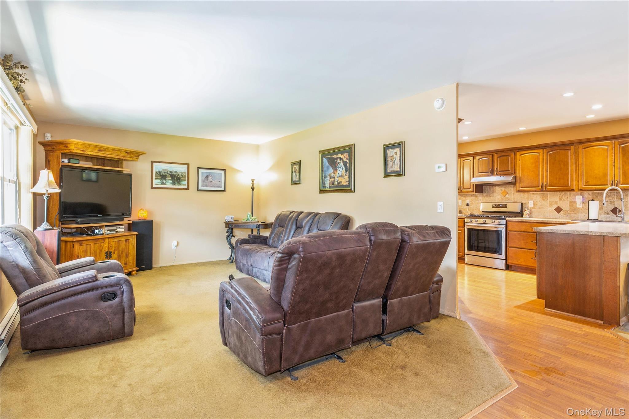 Single Family Bishop  Suffolk County, NY 11741, MLS-989518-10