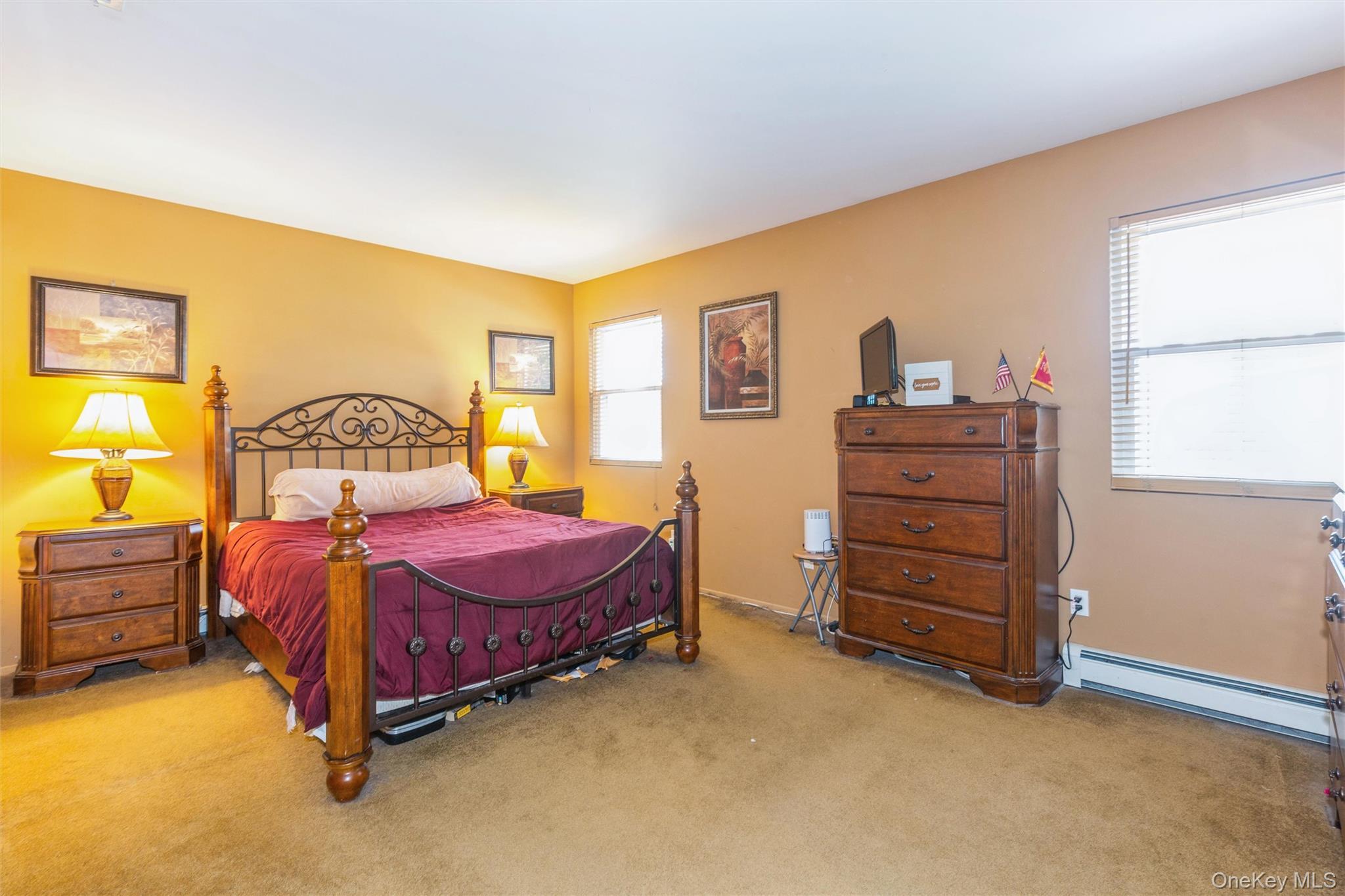 Single Family Bishop  Suffolk County, NY 11741, MLS-989518-13