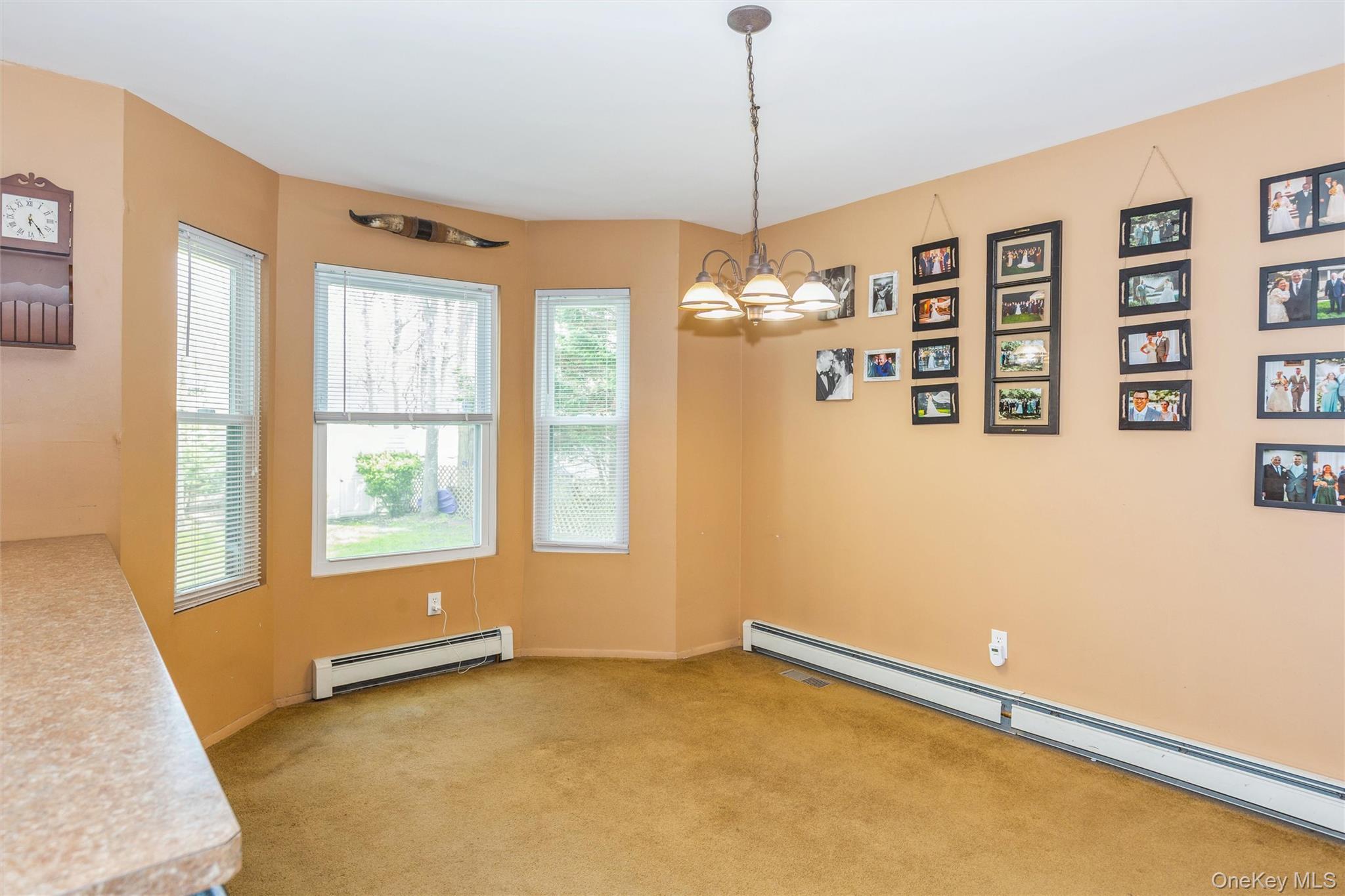Single Family Bishop  Suffolk County, NY 11741, MLS-989518-8