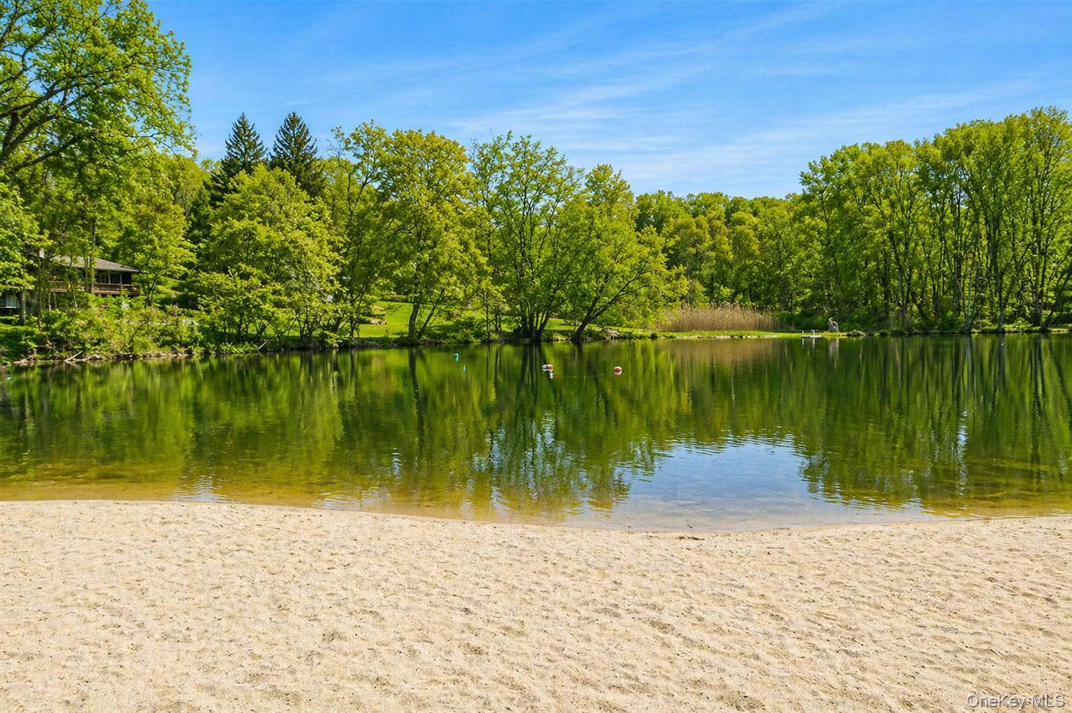 Single Family Carolyn  Westchester County, NY 10589, MLS-989526-22