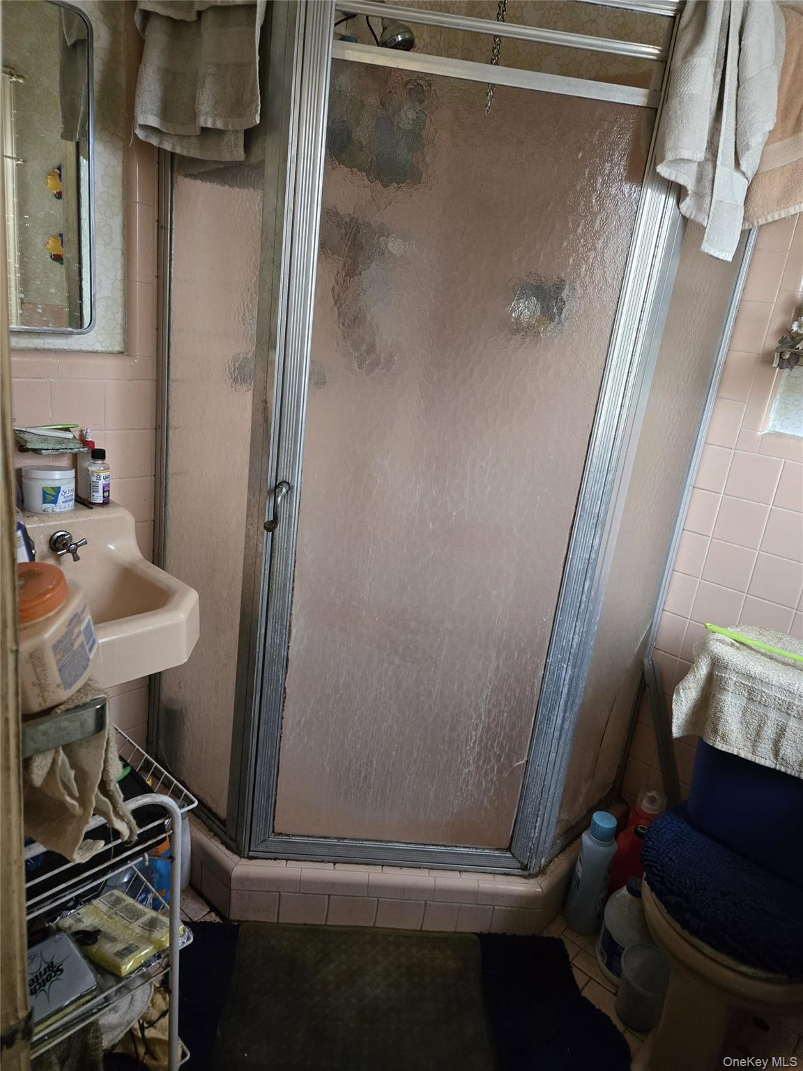 Single Family Bayswater  Queens, NY 11691, MLS-989563-12