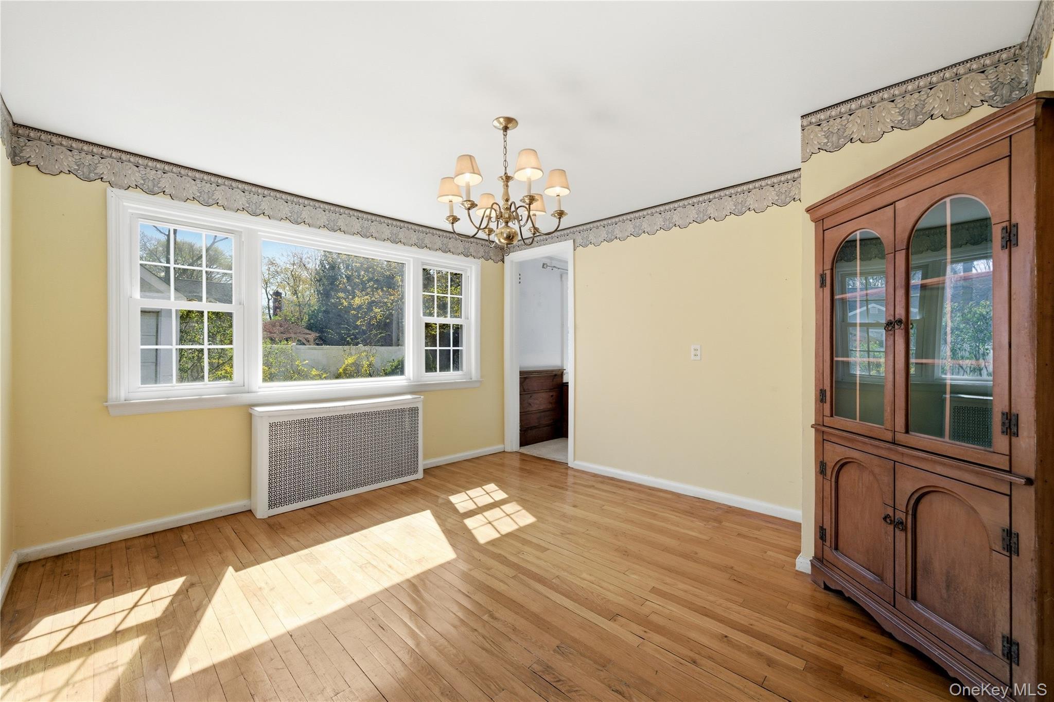 Single Family Central  Suffolk County, NY 11701, MLS-989580-26