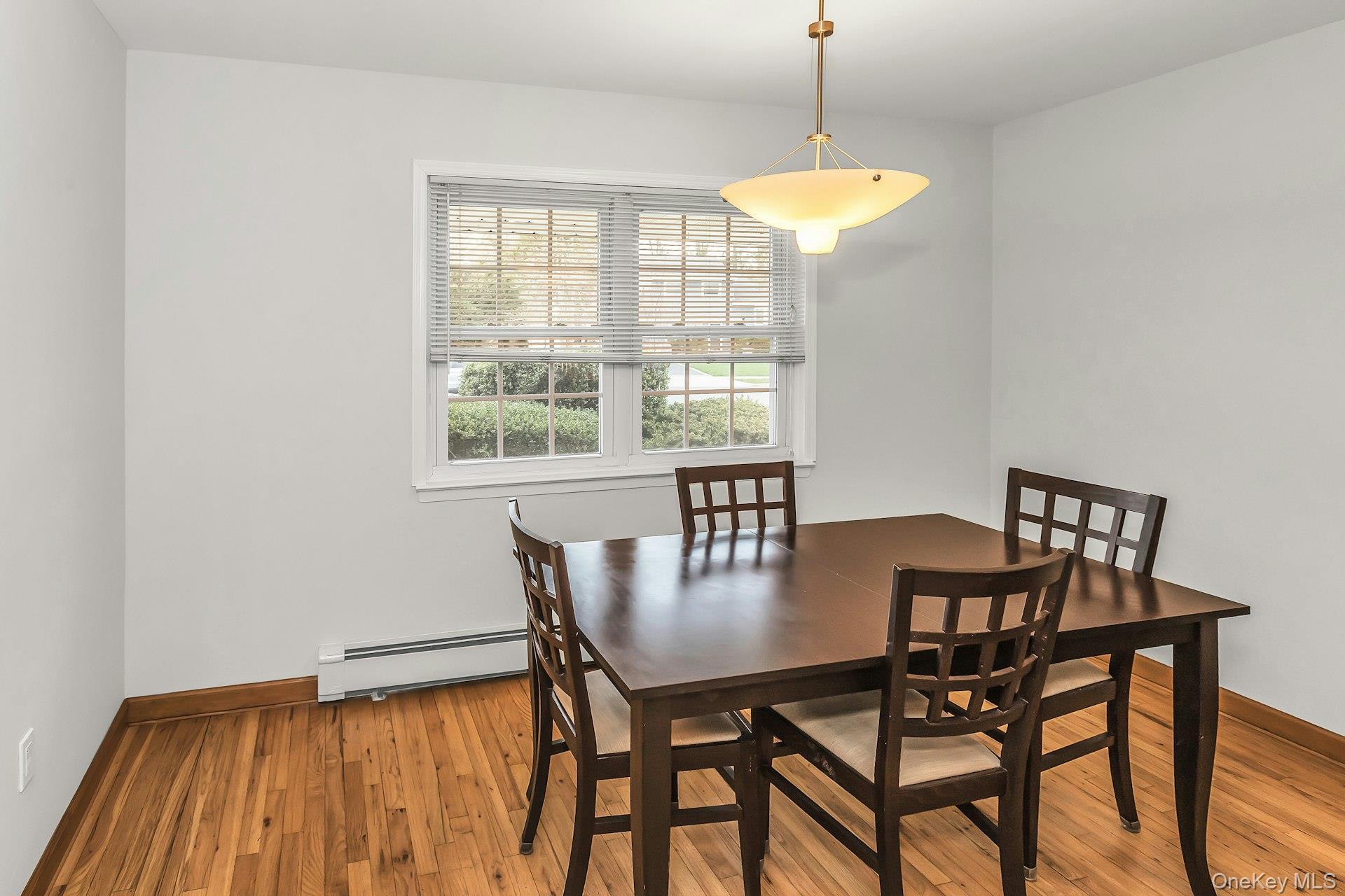 Single Family Primrose  Suffolk County, NY 11754, MLS-989658-7