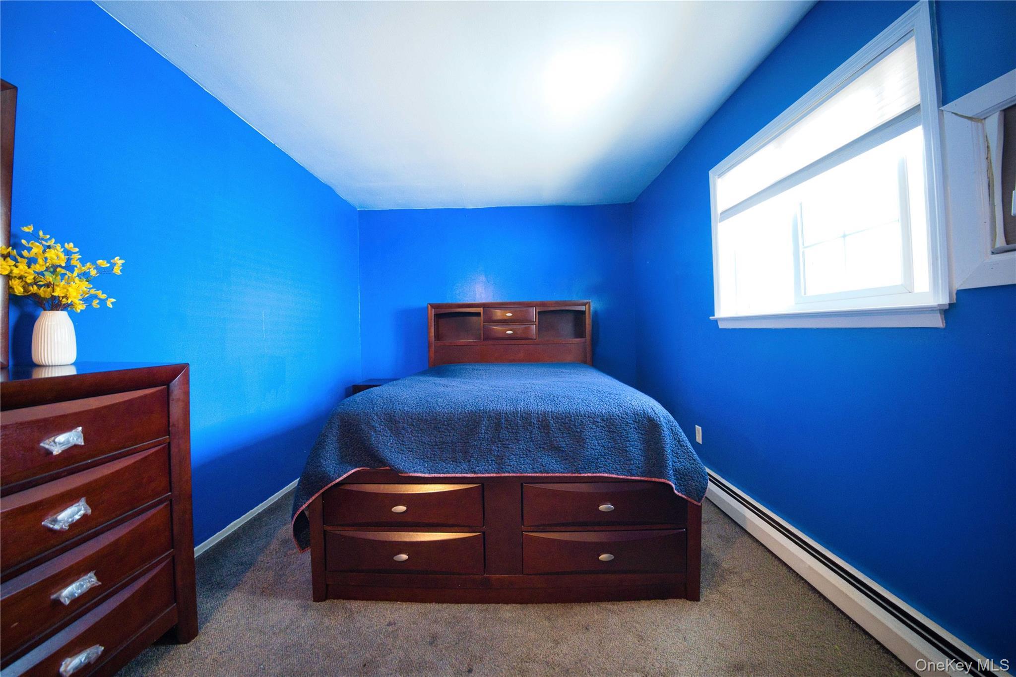 Single Family Cheshire Road Nassau County, NY 11714, MLS-989728-11