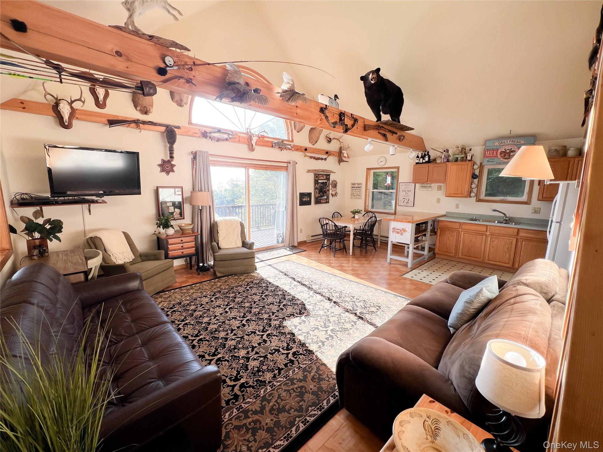 Single Family Emerald Heights Road Delaware County, NY 13752, MLS-989791-23