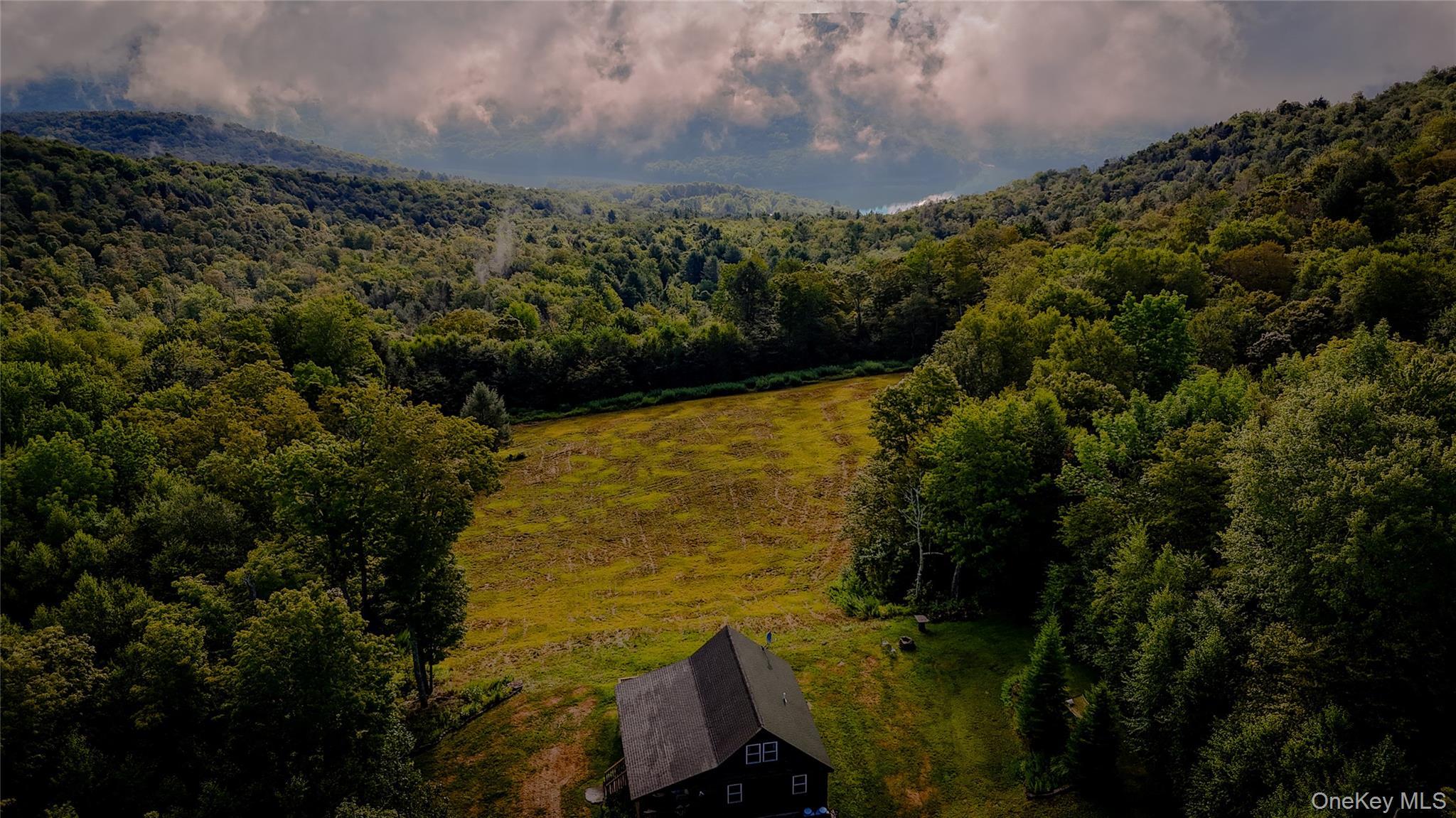 Single Family Emerald Heights Road Delaware County, NY 13752, MLS-989791-27