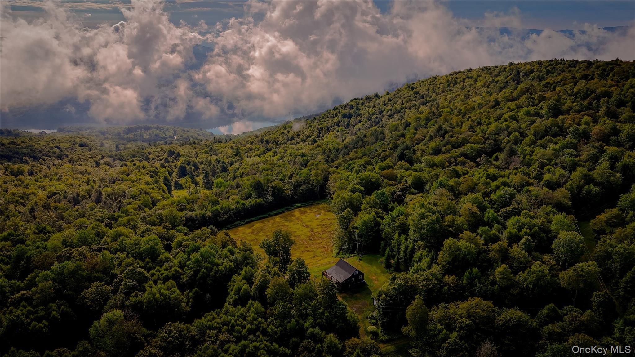 Single Family Emerald Heights Road Delaware County, NY 13752, MLS-989791-28