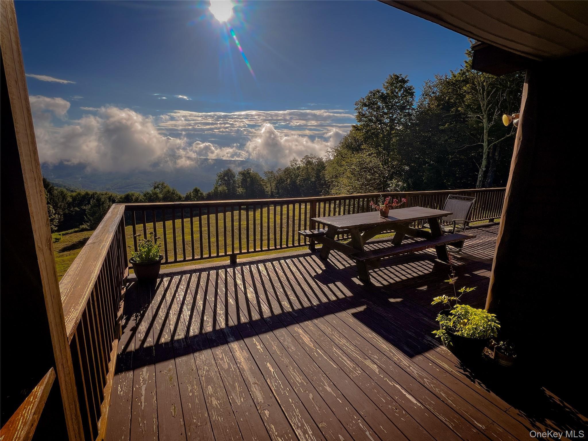 Single Family Emerald Heights Road Delaware County, NY 13752, MLS-989791-3