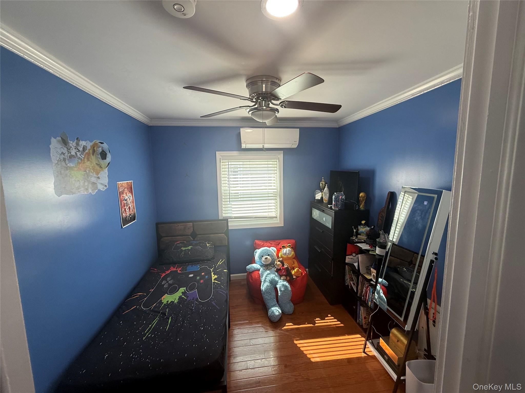 Single Family Dewitt  Nassau County, NY 11580, MLS-989793-21