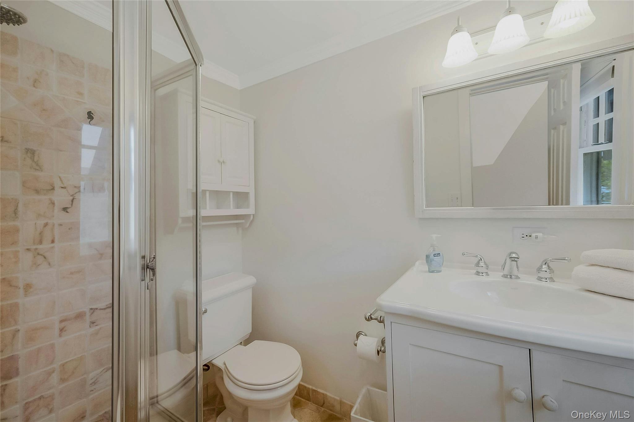 Single Family Jessup Lane Suffolk County, NY 11959, MLS-989861-16