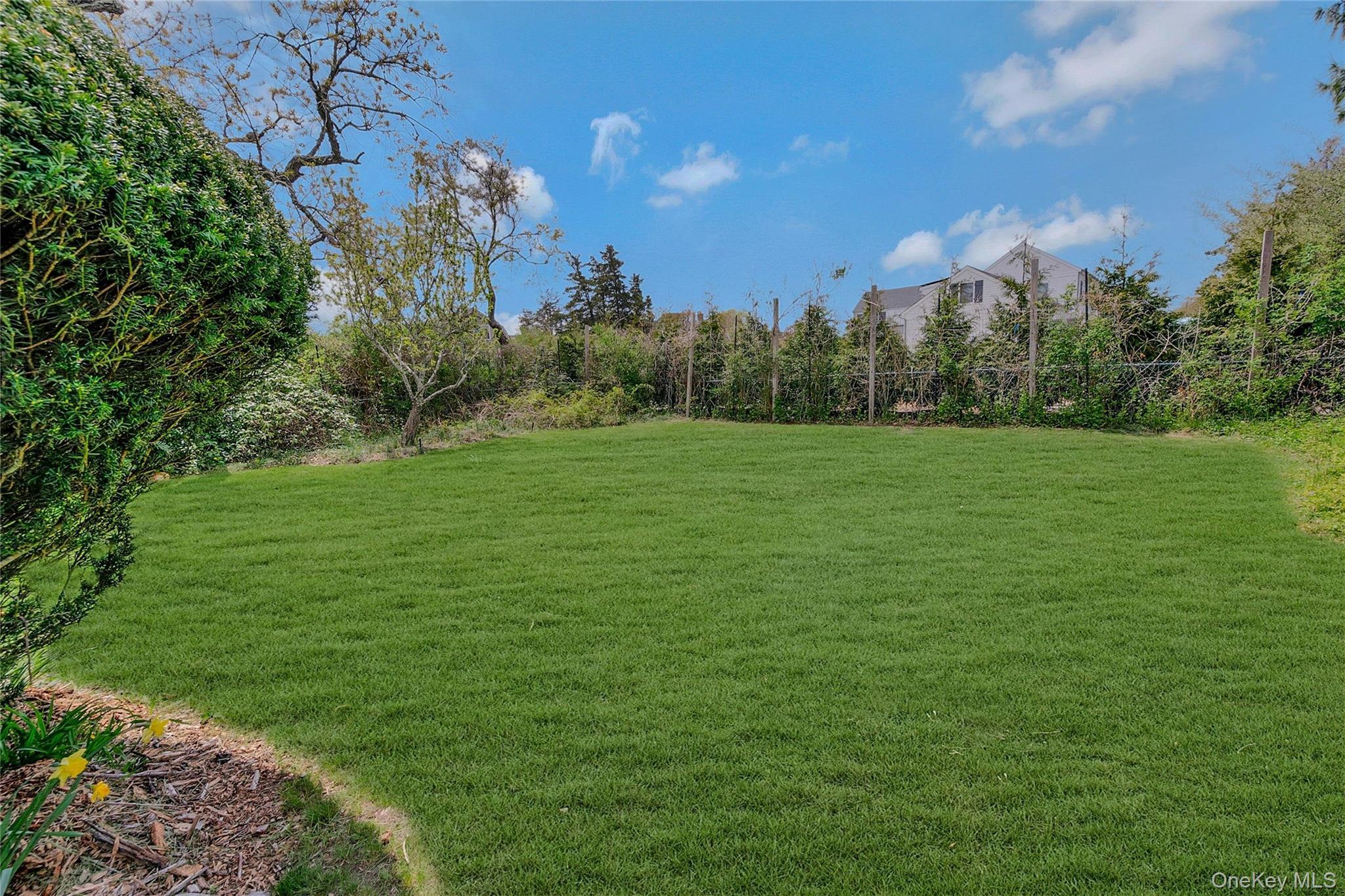 Single Family Jessup Lane Suffolk County, NY 11959, MLS-989861-44