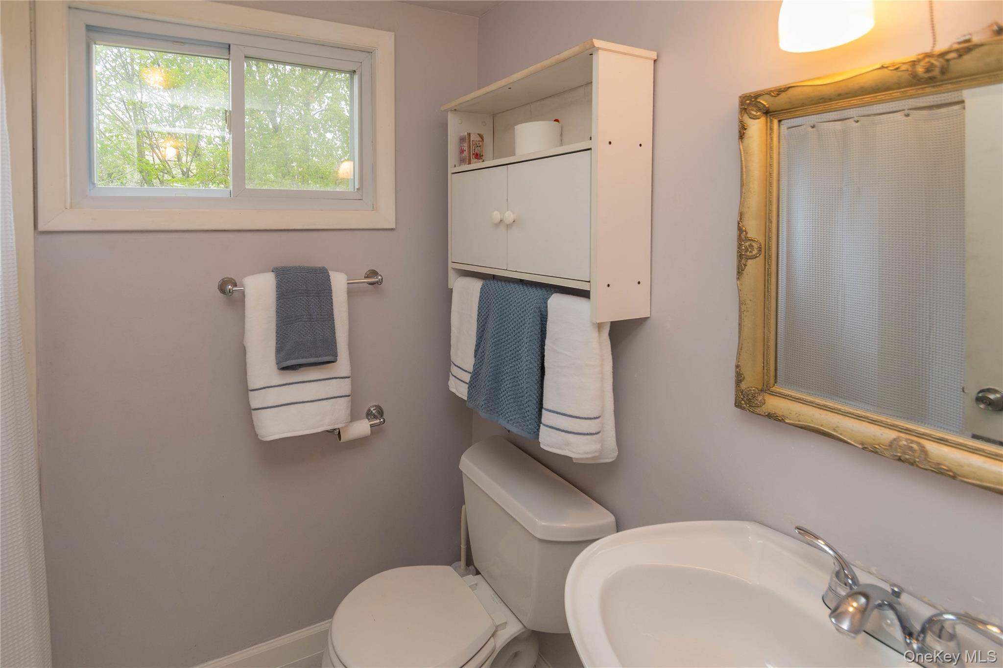 Single Family Laurie  Orange County, NY 12550, MLS-989862-25