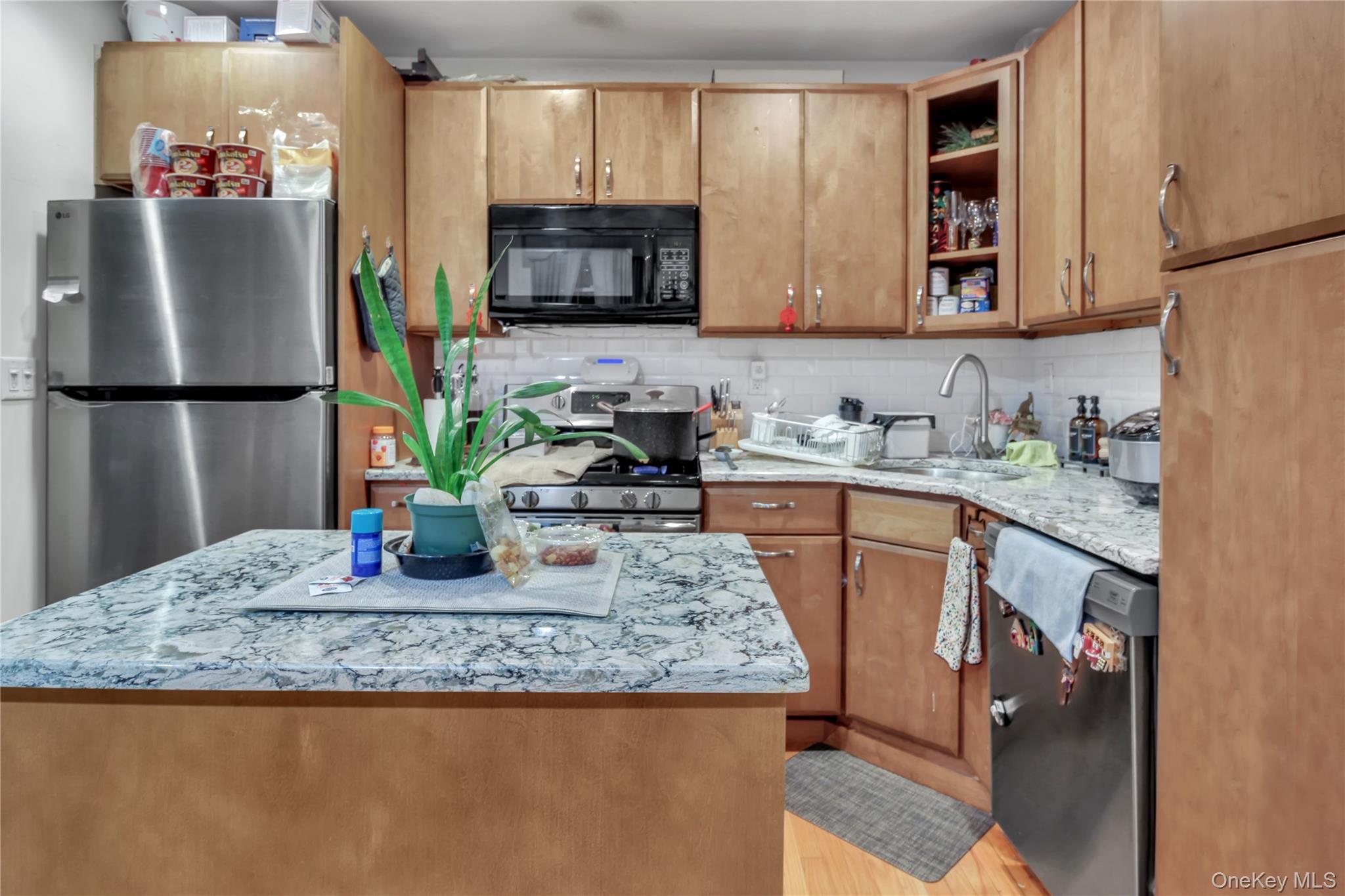 Single Family Van Loon Street Queens, NY 11373, MLS-989874-11