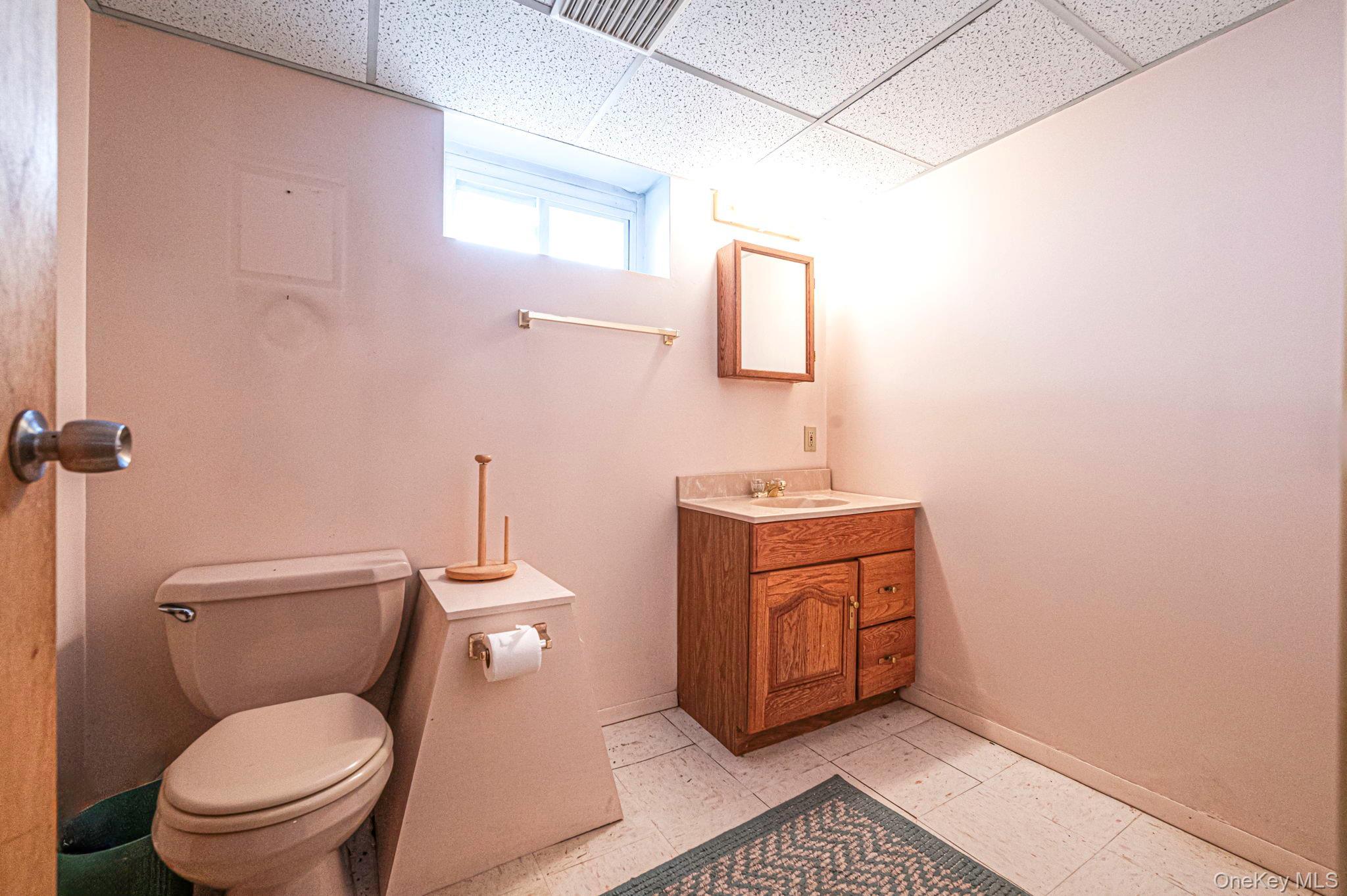 Single Family Doris  Nassau County, NY 11710, MLS-989898-43