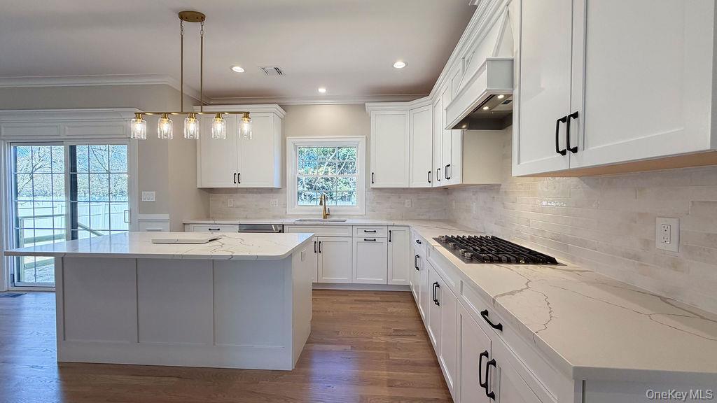 Single Family Hawthorne Drive N  Nassau County, NY 11793, MLS-989917-6