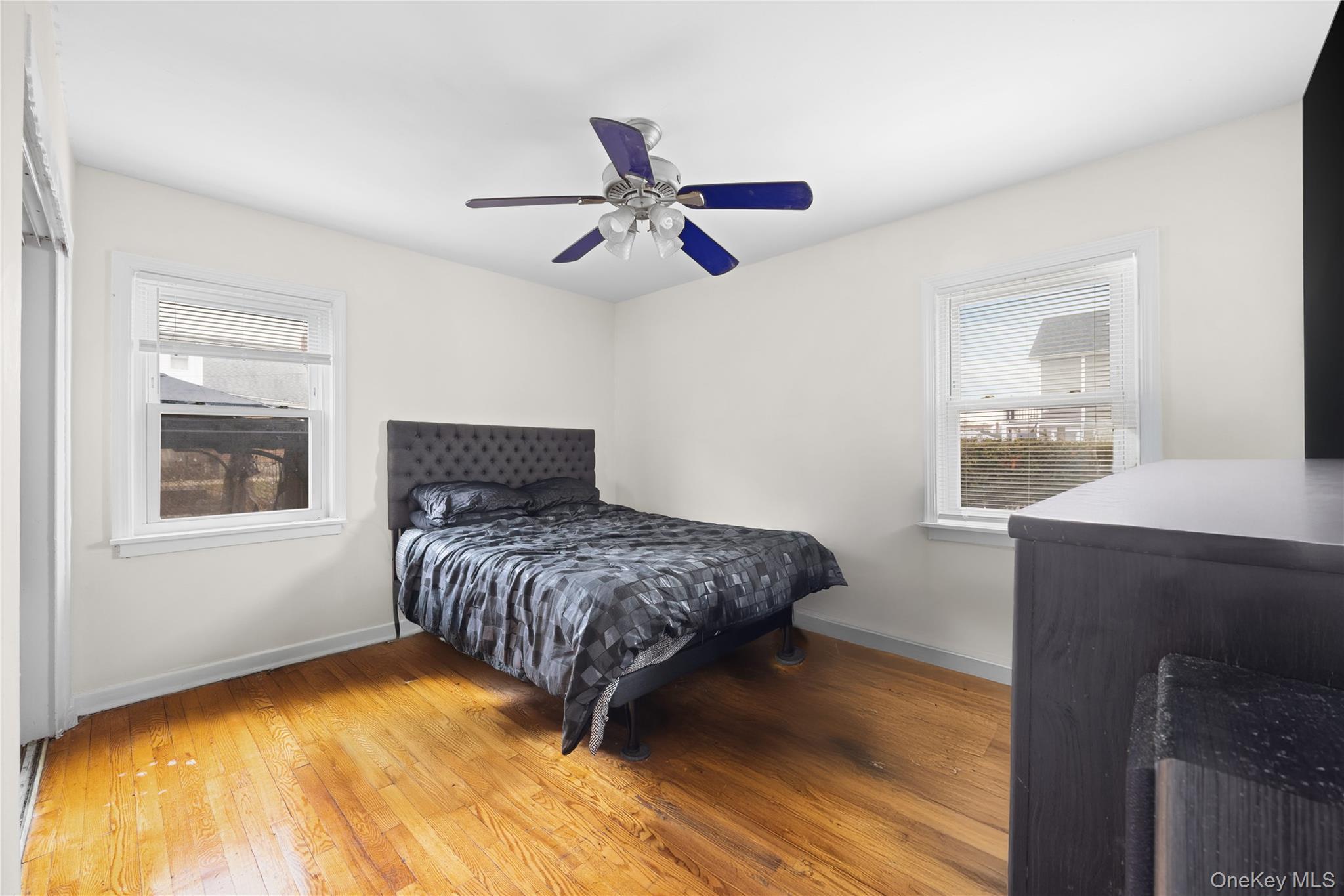 Single Family Jackson  Nassau County, NY 11003, MLS-989925-14