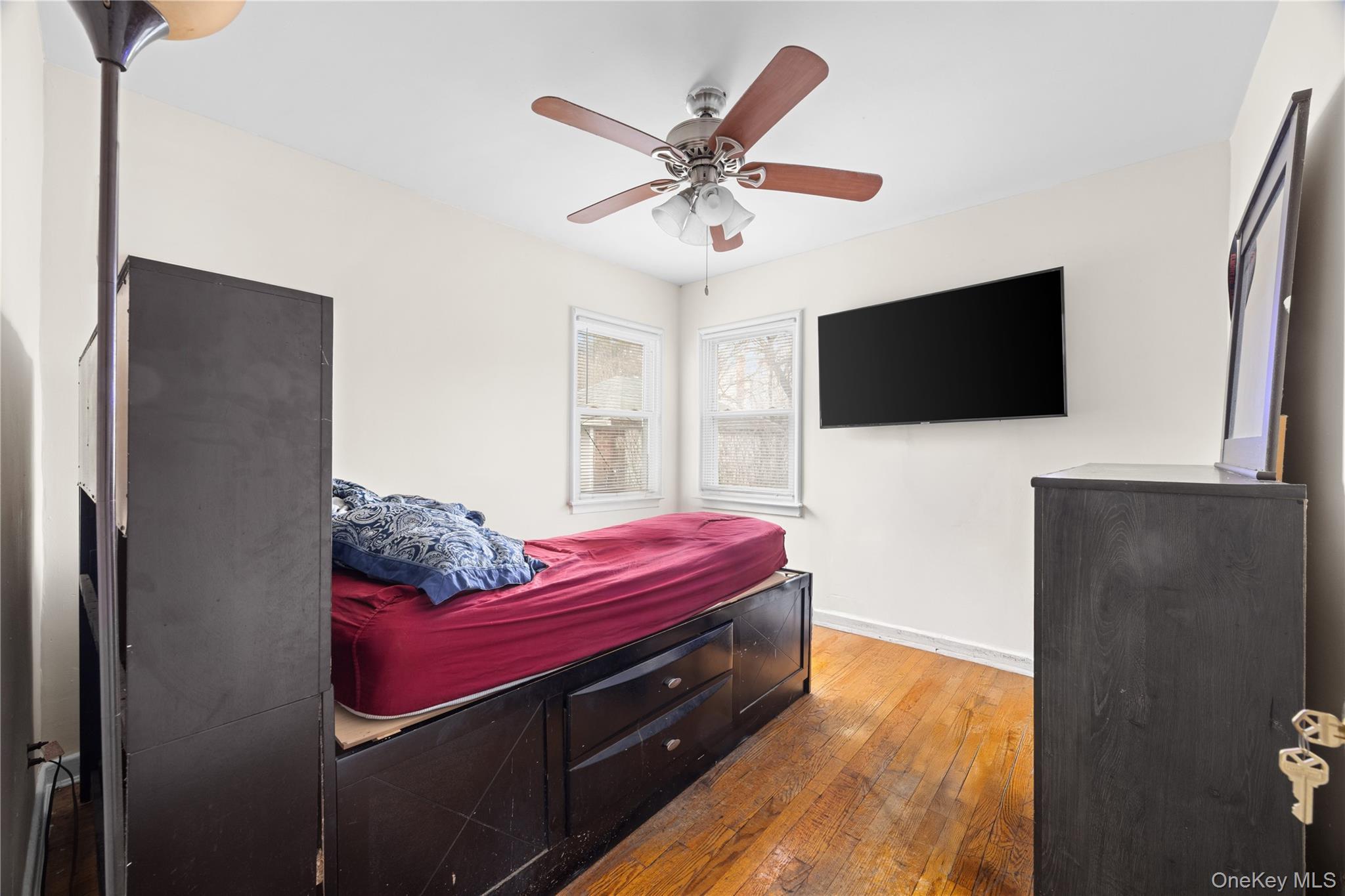 Single Family Jackson  Nassau County, NY 11003, MLS-989925-15