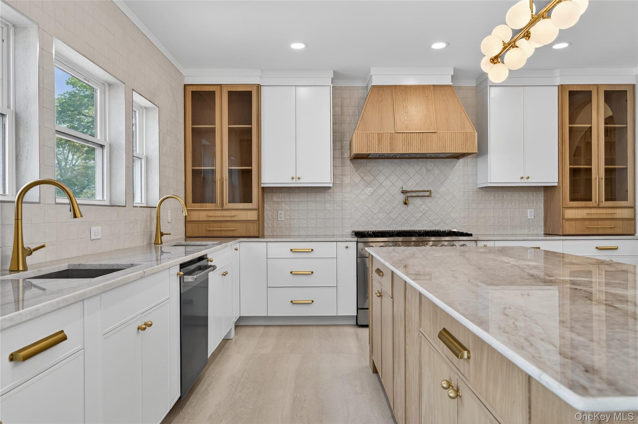 Single Family Ridge Drive Nassau County, NY 11050, MLS-989974-11