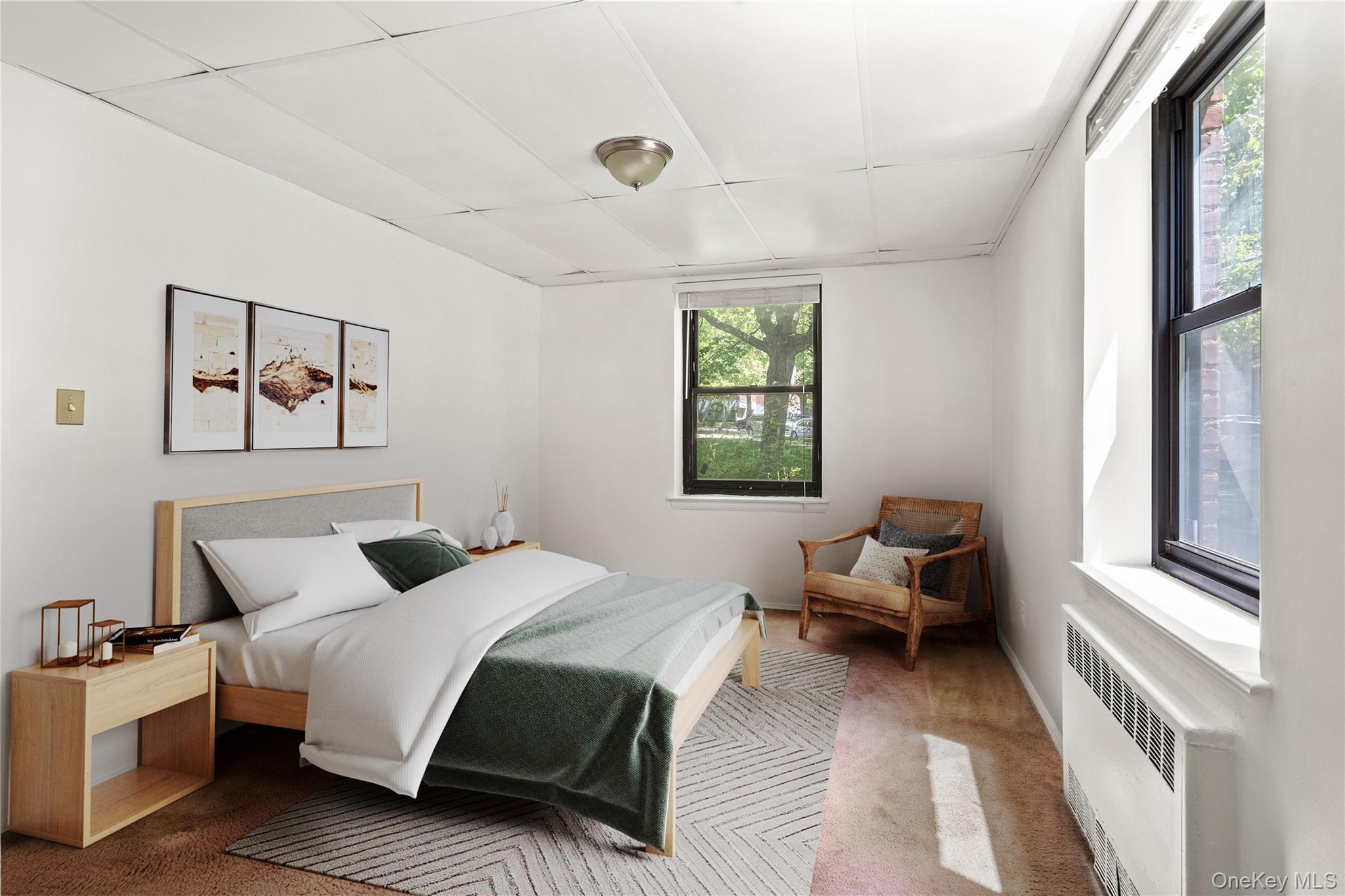 Coop 28th  Queens, NY 11354, MLS-989979-13