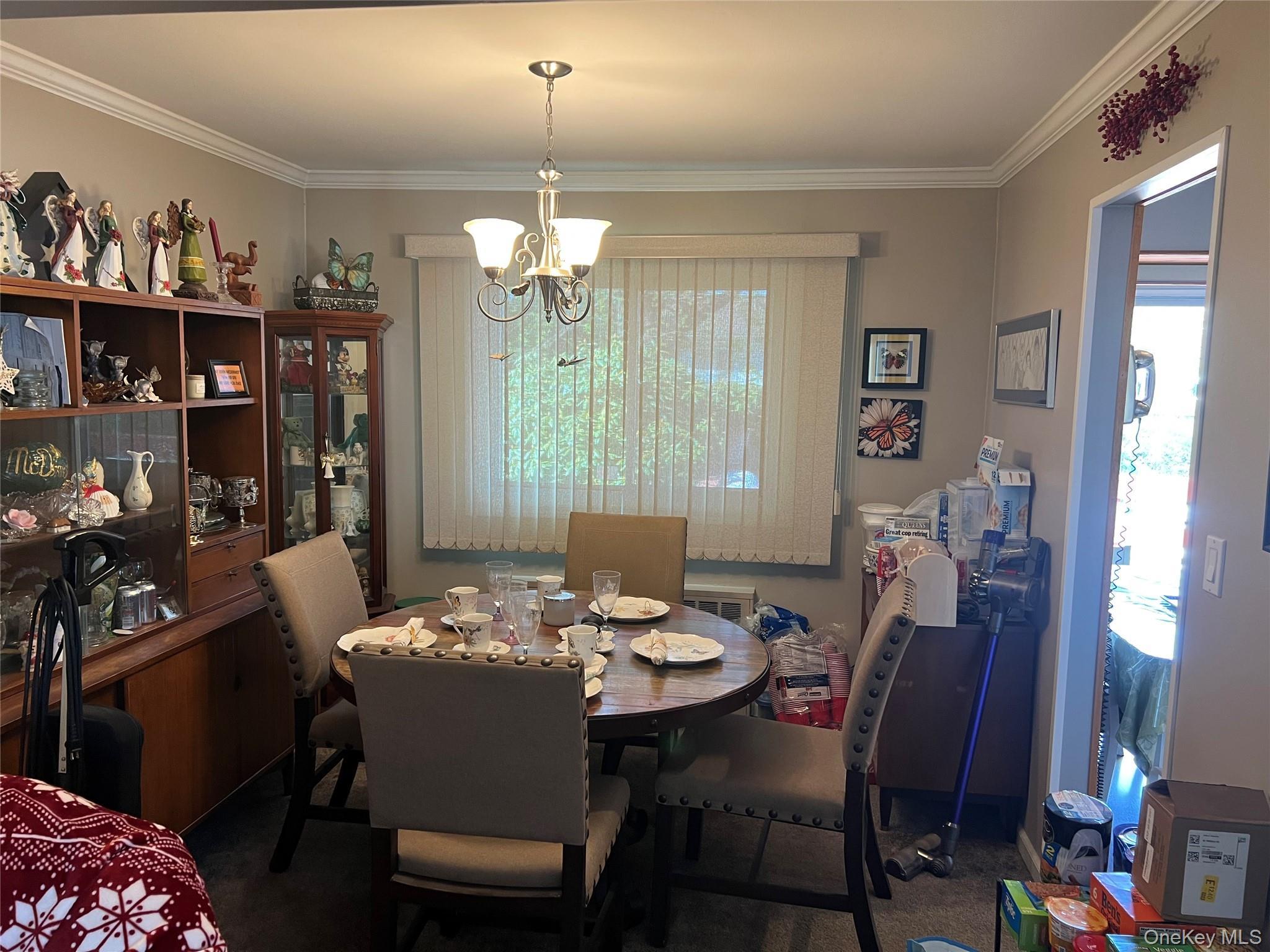 Single Family Thoreau  Suffolk County, NY 11703, MLS-989983-5