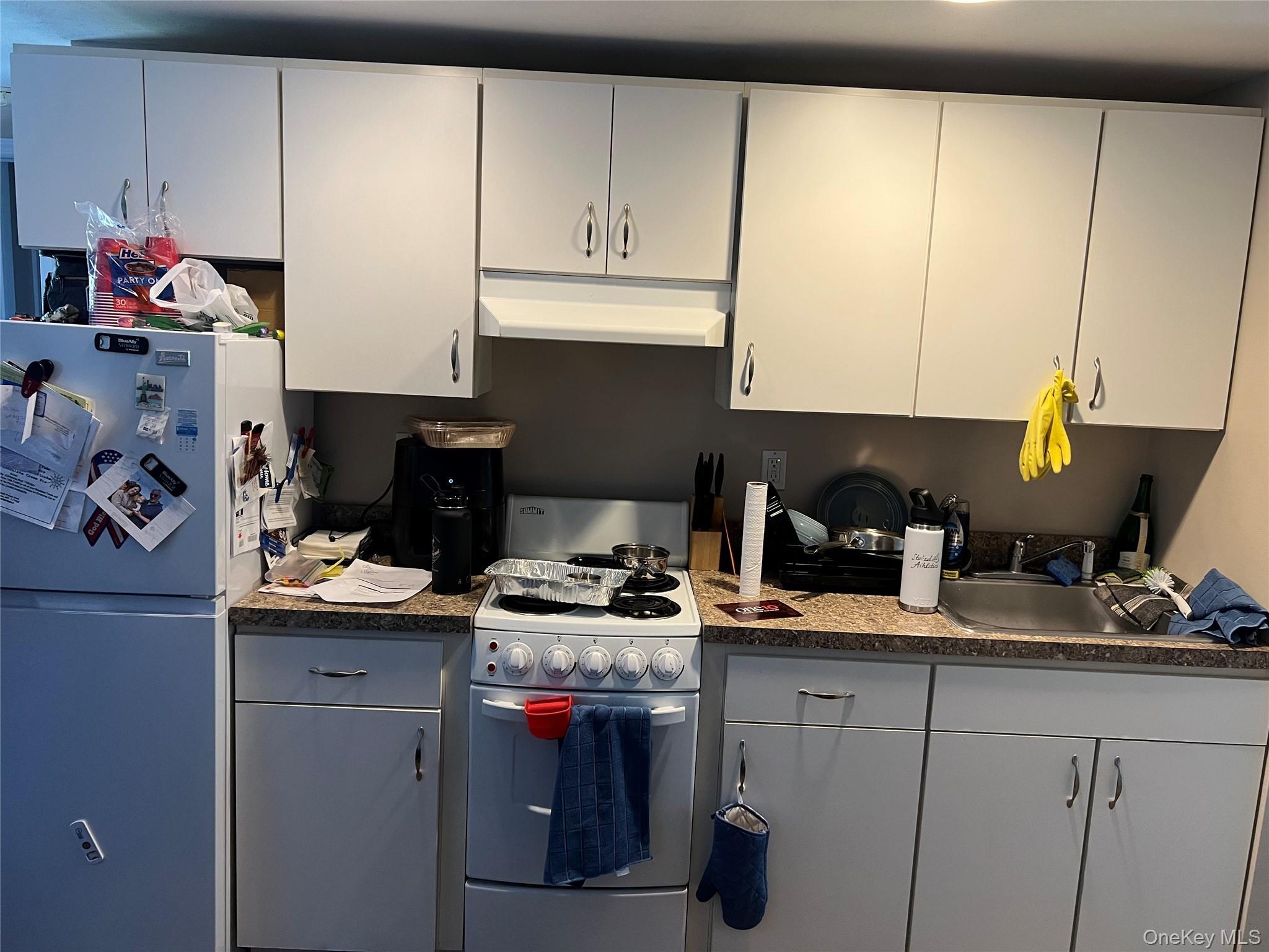 Single Family Thoreau  Suffolk County, NY 11703, MLS-989983-6