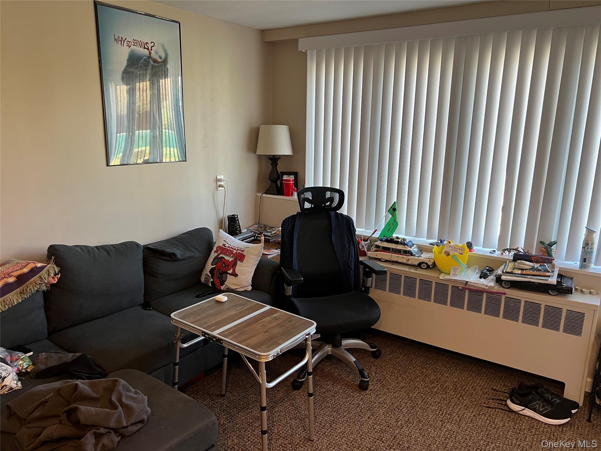 Single Family Thoreau  Suffolk County, NY 11703, MLS-989983-7