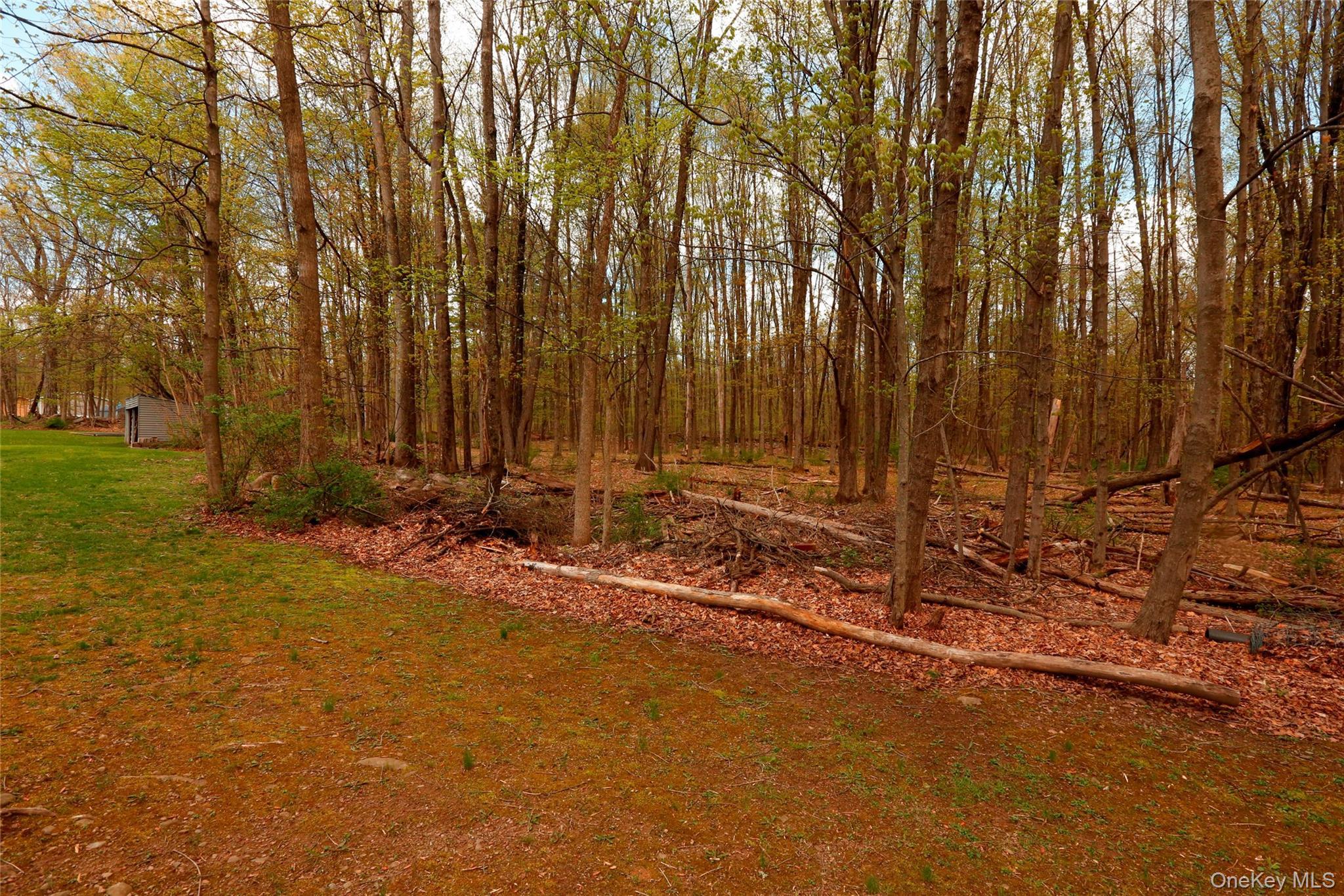 Single Family Granite Road  Ulster County, NY 12446, MLS-990017-34