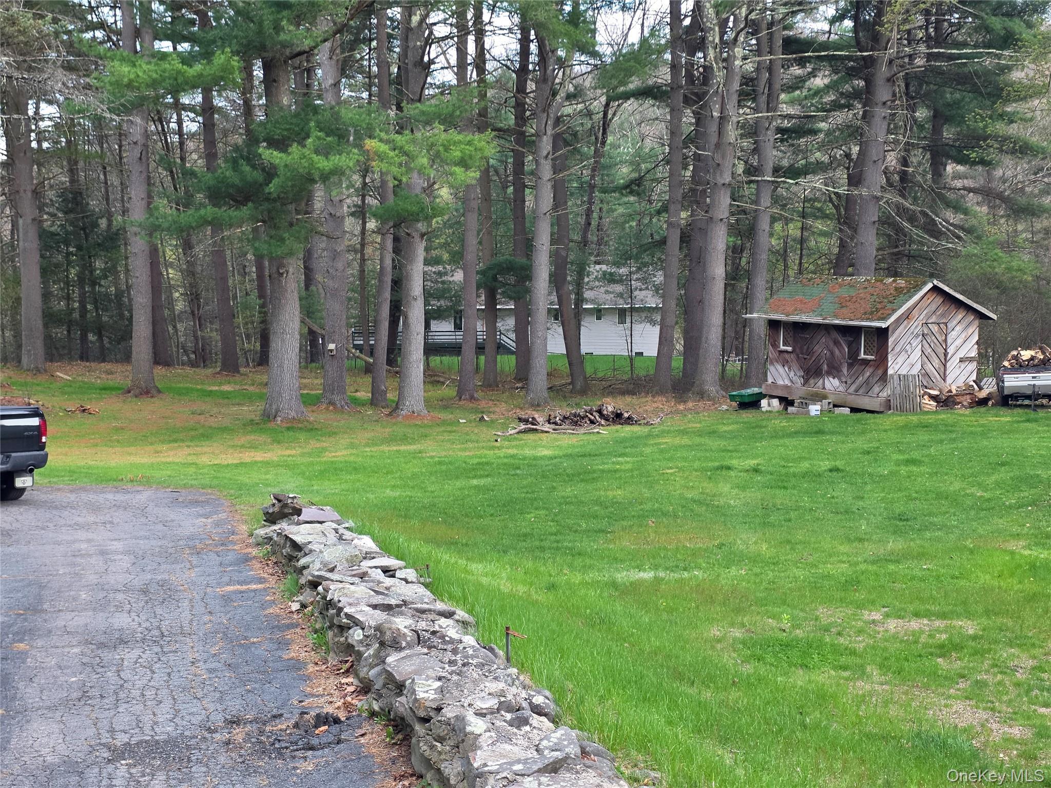 Single Family Andrew Paye Road Sullivan County, NY 12770, MLS-990053-11