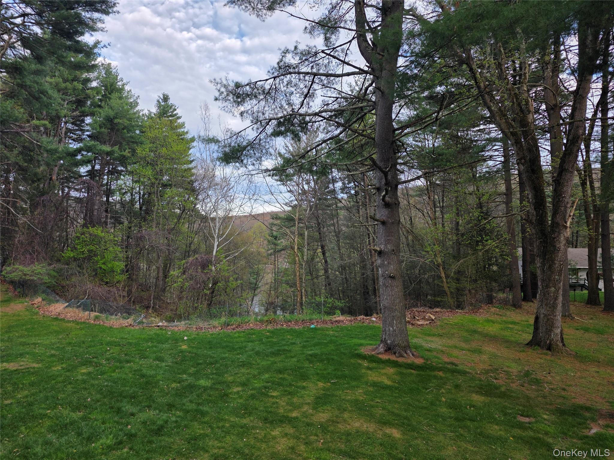Single Family Andrew Paye Road Sullivan County, NY 12770, MLS-990053-12