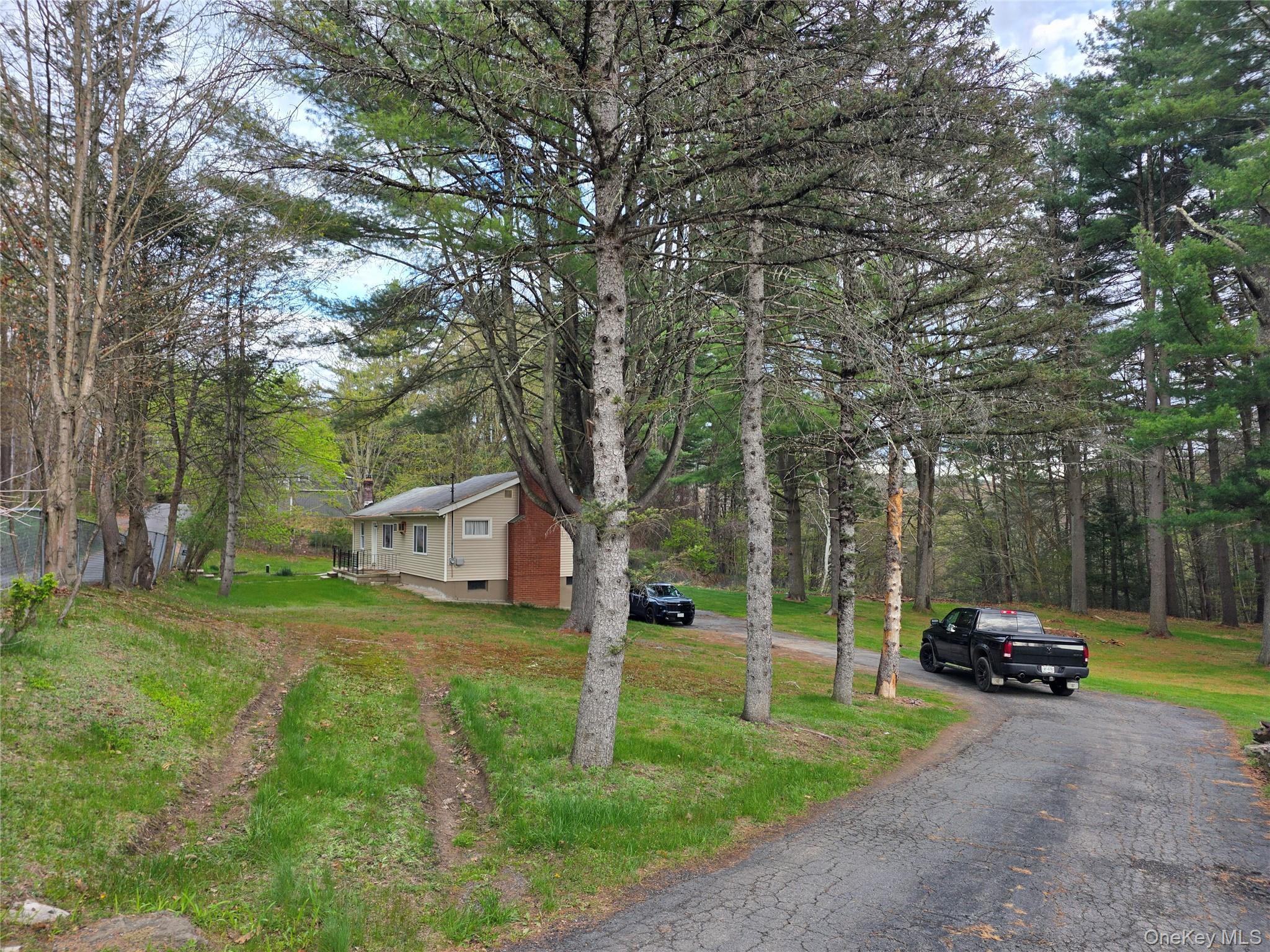 Single Family Andrew Paye Road Sullivan County, NY 12770, MLS-990053-6
