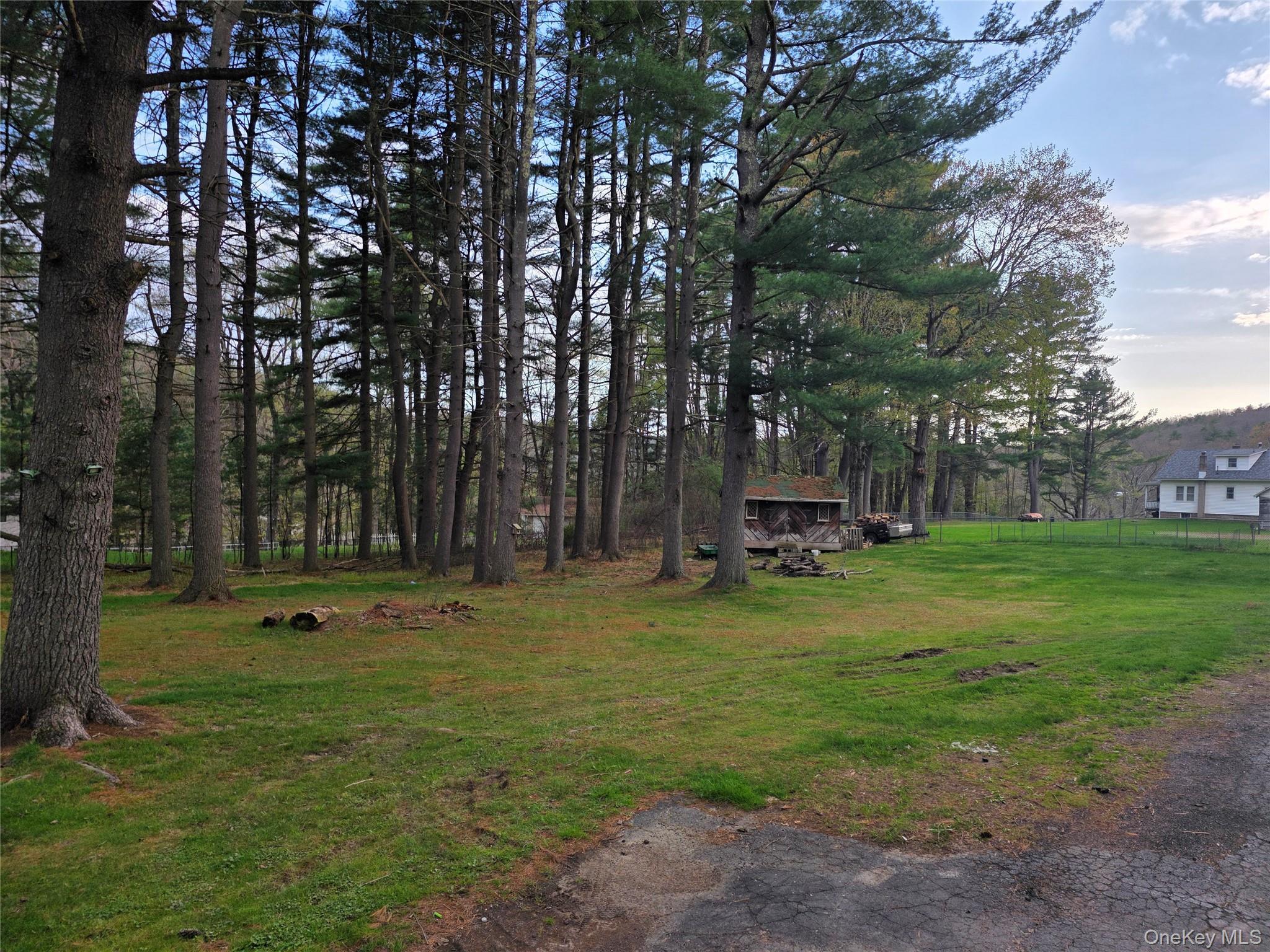 Single Family Andrew Paye Road Sullivan County, NY 12770, MLS-990053-9