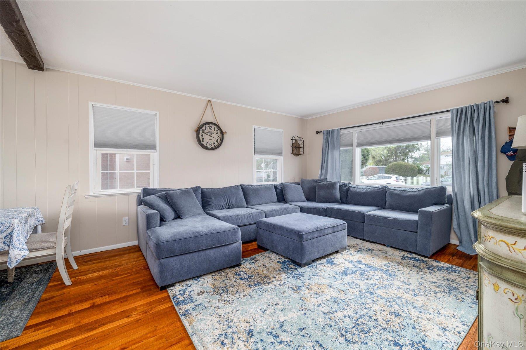 Single Family Laurel  Nassau County, NY 11510, MLS-990072-11