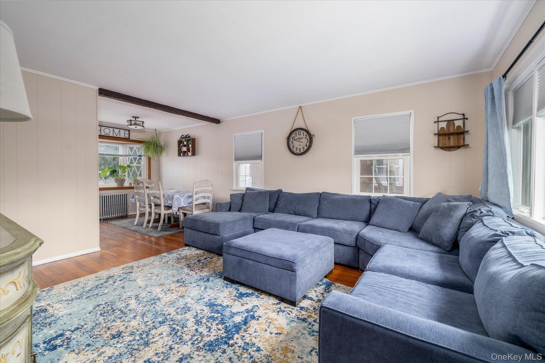 Single Family Laurel  Nassau County, NY 11510, MLS-990072-8