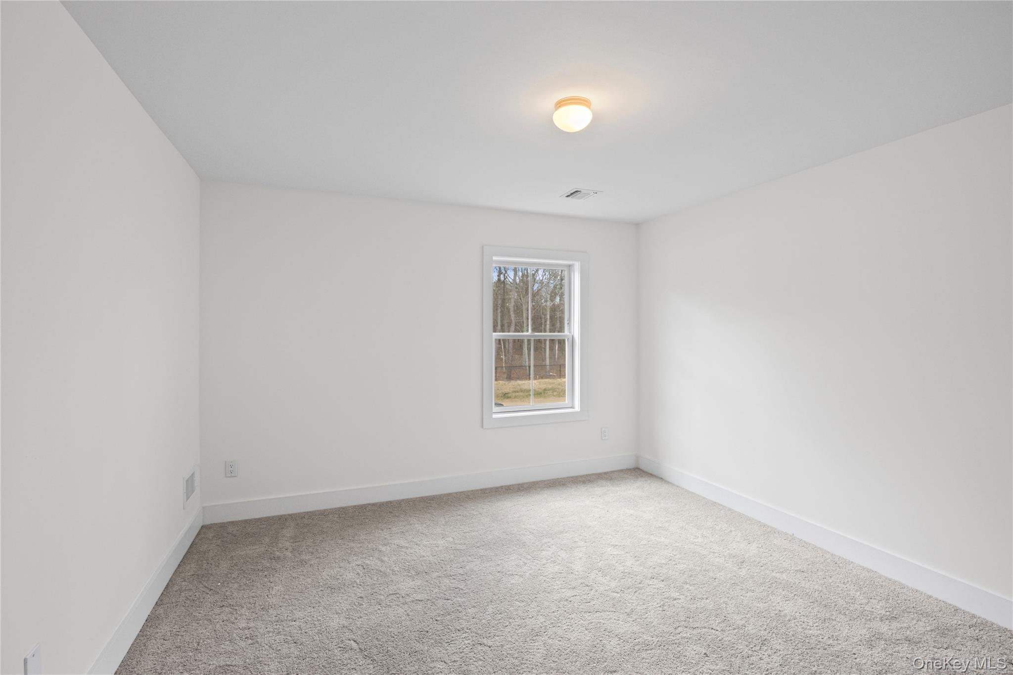 Single Family Jersey Avenue  Suffolk County, NY 11764, MLS-990098-37