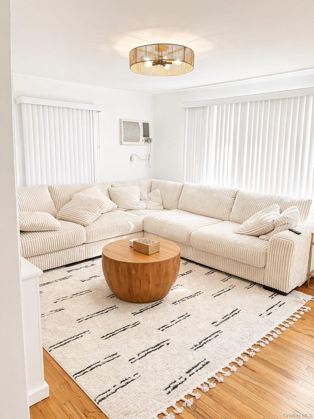 Single Family Public  Suffolk County, NY 11788, MLS-990121-4